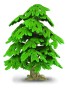 Collecta_89329_1.jpg