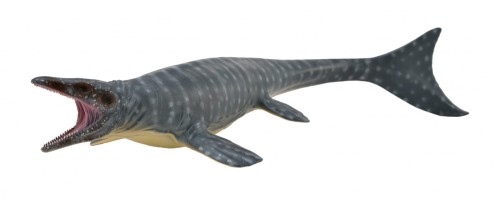Collecta_88677.jpg
