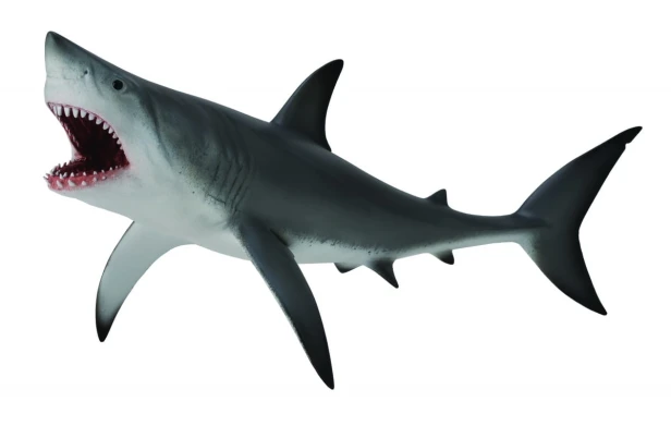 Collecta_88729.jpg