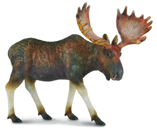 Collecta_88335.jpg