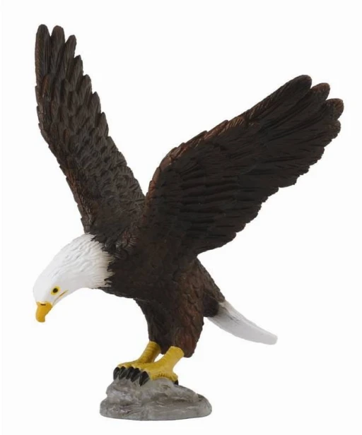 Collecta_88383.jpg