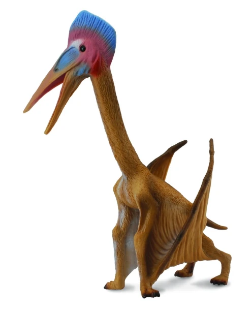 Collecta_88441.jpg