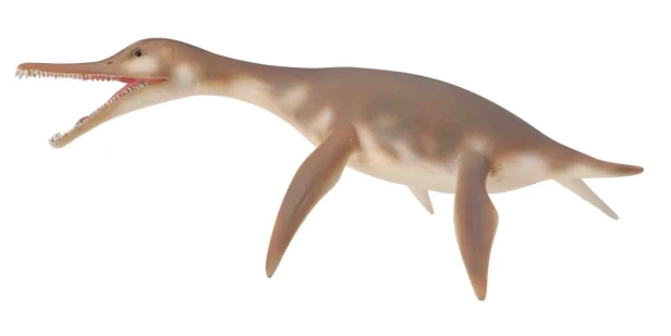 Collecta_88520.jpg