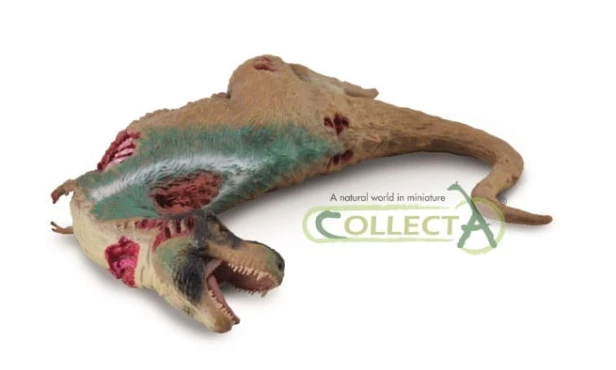 Collecta_88743.jpg