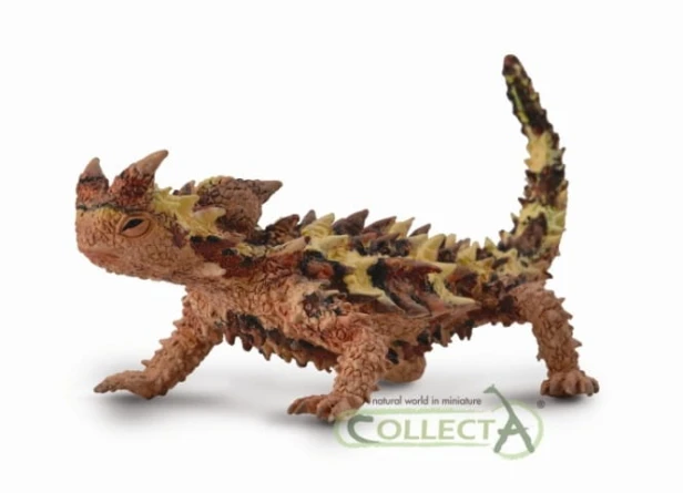 Collecta_88753.jpg