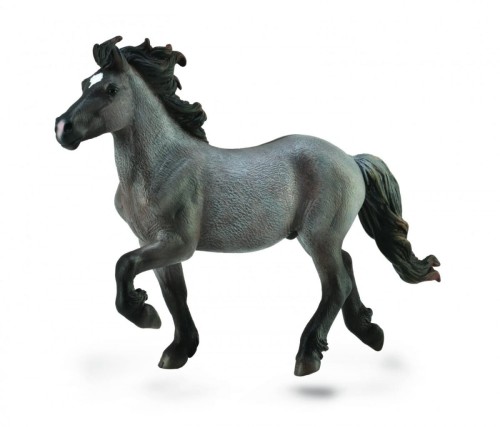 Collecta_88826.jpg