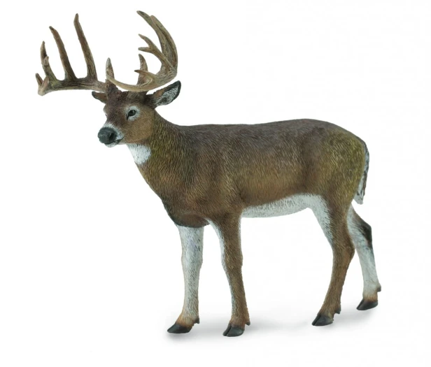 Collecta_88832.jpg