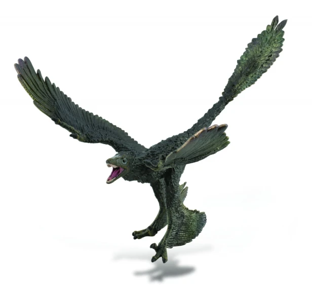 Collecta_88875.jpg