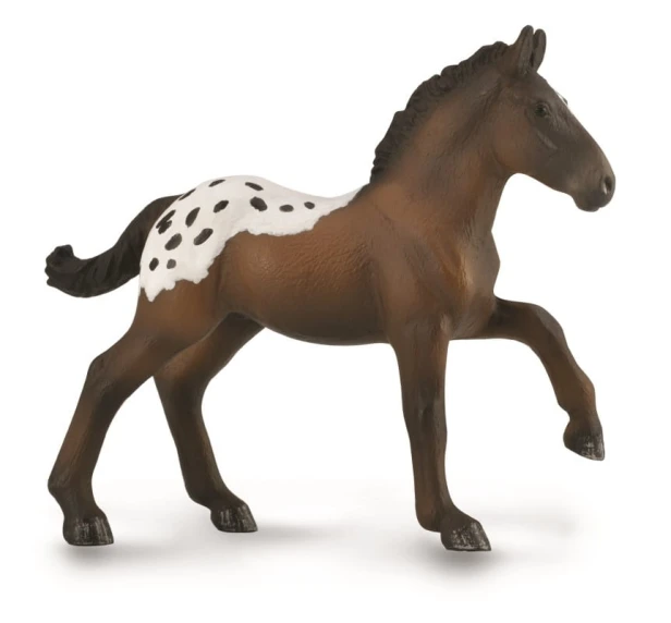 Collecta_88897.jpg