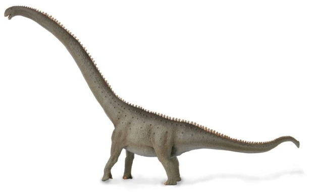 Collecta_88908.jpg
