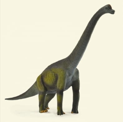Collecta_88121.jpg