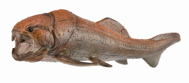 Collecta_88817.jpg