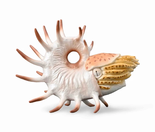 Collecta_88946.jpg
