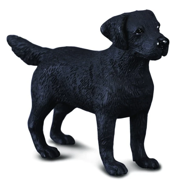 Collecta_88076.jpg