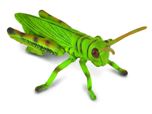 Collecta_88352.jpg