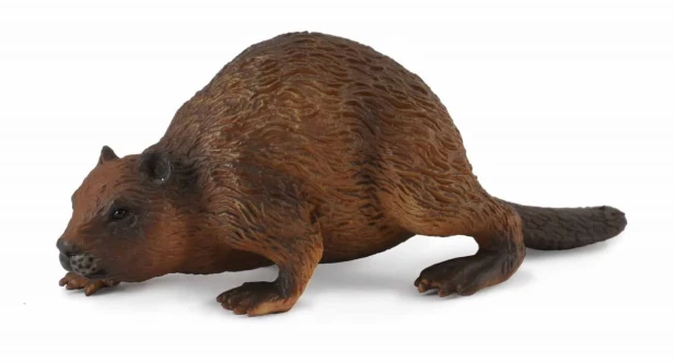 Collecta_88382.jpg