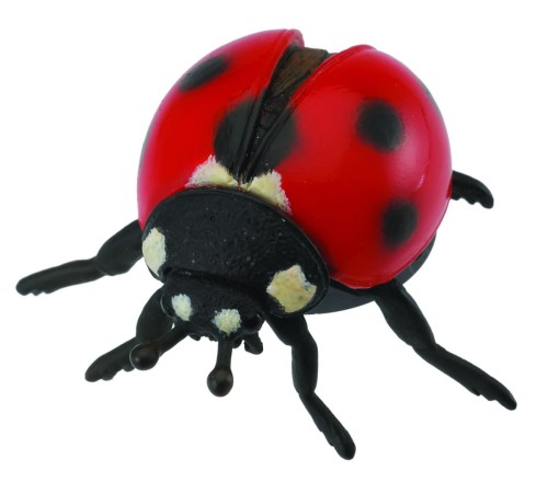 Collecta_88474.jpg