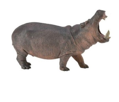 Collecta_88833.jpg