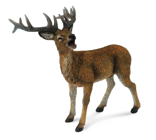 Collecta_88469.jpg