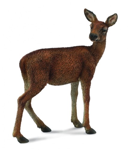 Collecta_88470.jpg