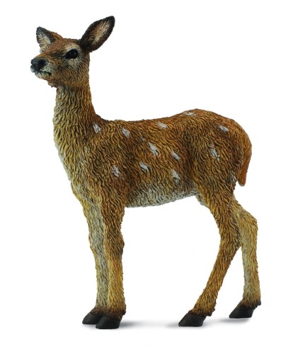 Collecta_88471.jpg