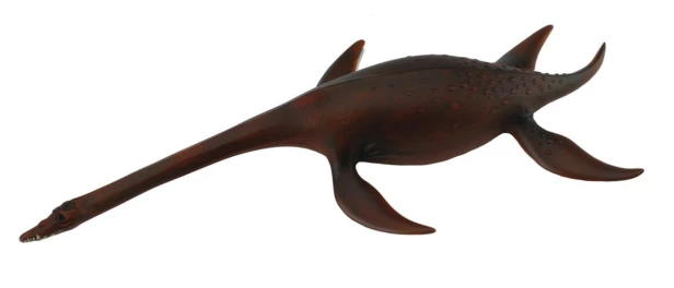 Collecta_88489.jpg