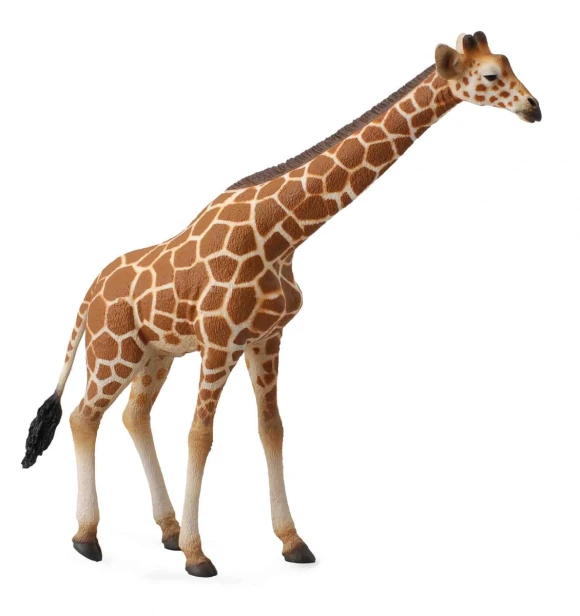 Collecta_88534.jpg