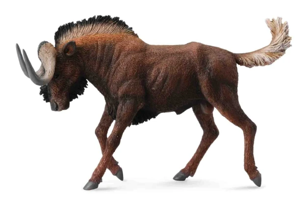 Collecta_88542.jpg