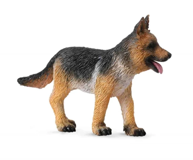 Collecta_88553.jpg