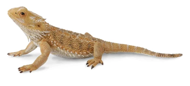 Collecta_88567.jpg