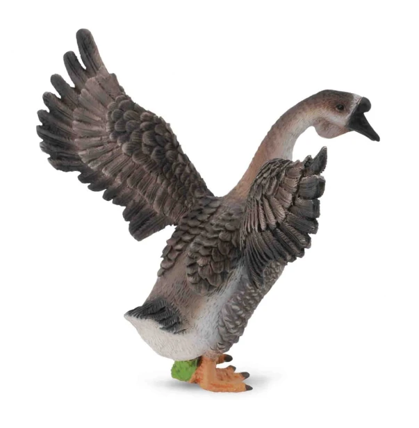 Collecta_88572.jpg