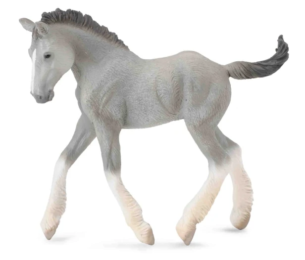 Collecta_88575.jpg