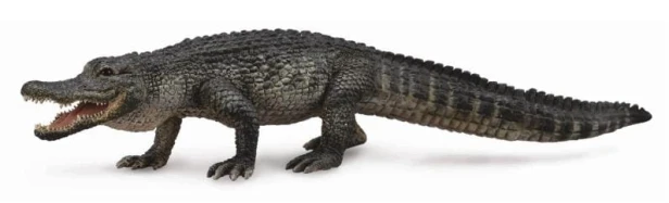 Collecta_88609.jpg