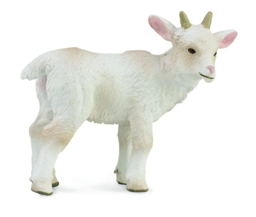 Collecta_88786.jpg