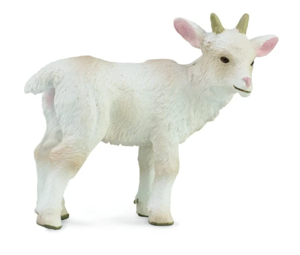 Collecta_88786.jpg
