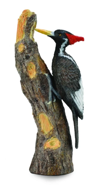 Collecta_88802.jpg