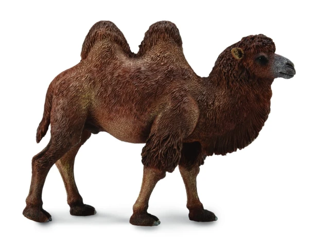 Collecta_88807.jpg