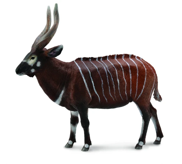 Collecta_88809.jpg