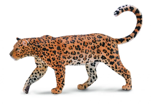Collecta_88866.jpg
