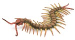 COLLECTA 88885 SKOLOPENDRA L