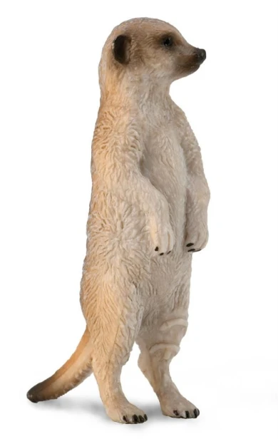 Collecta_88913.jpg