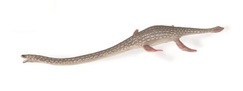 Collecta_88922.jpg