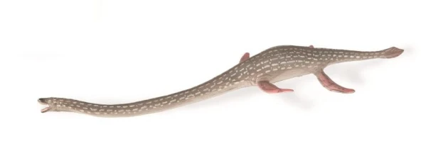 Collecta_88922.jpg