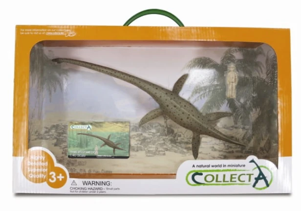 Collecta_89883.jpg
