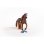 Schleich 42582_9.jpg