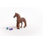 Schleich 42582_10.jpg