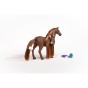 Schleich 42582_12.jpg