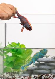 Schleich 14858_1.jpg