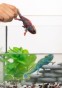 Schleich 14858_1.jpg