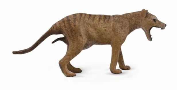Collecta_88767.jpg